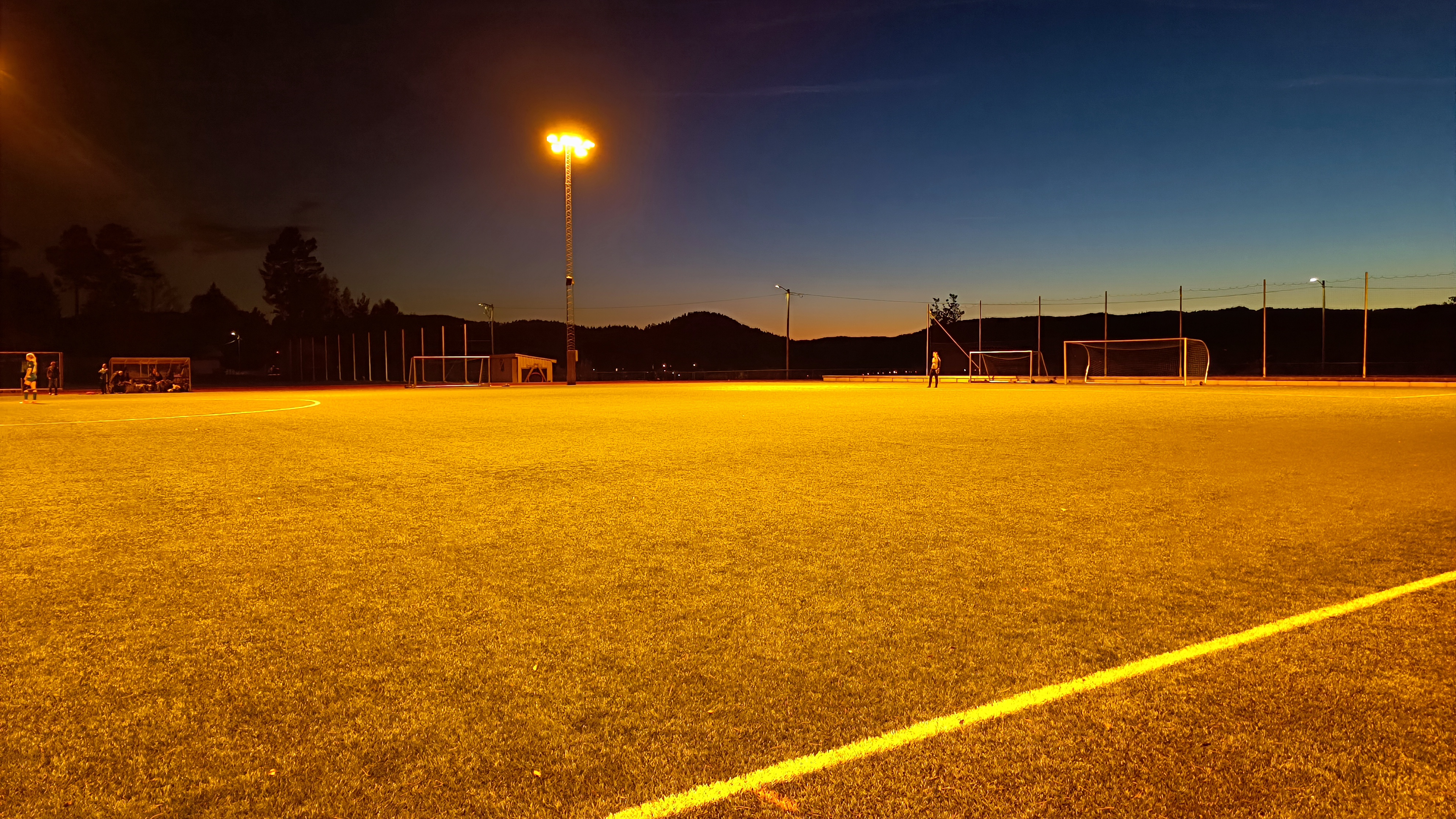 Birkenesparken kunstgress